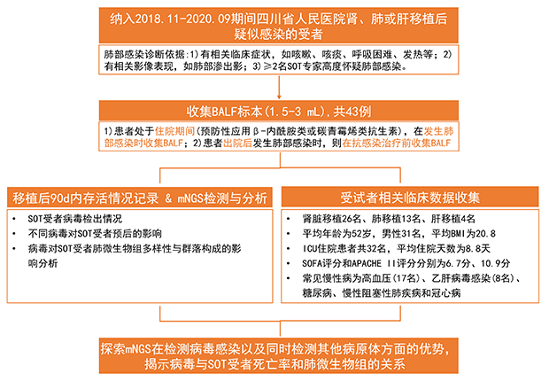 研究.png