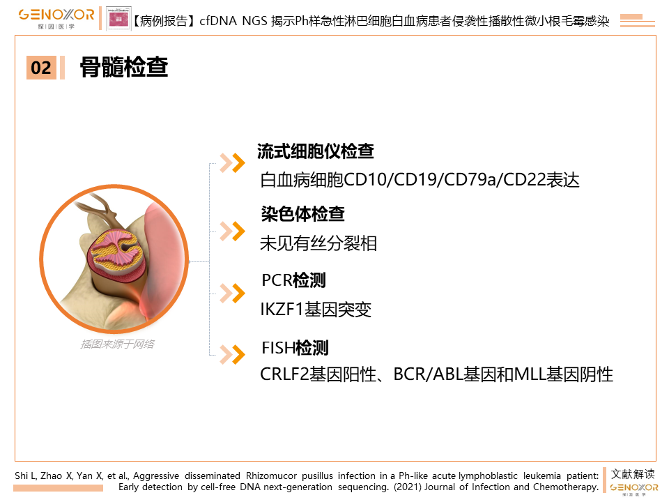 09916ff45cd73c00811f50bc7bac6087.png