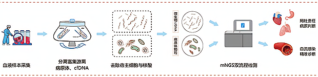 译血源.png